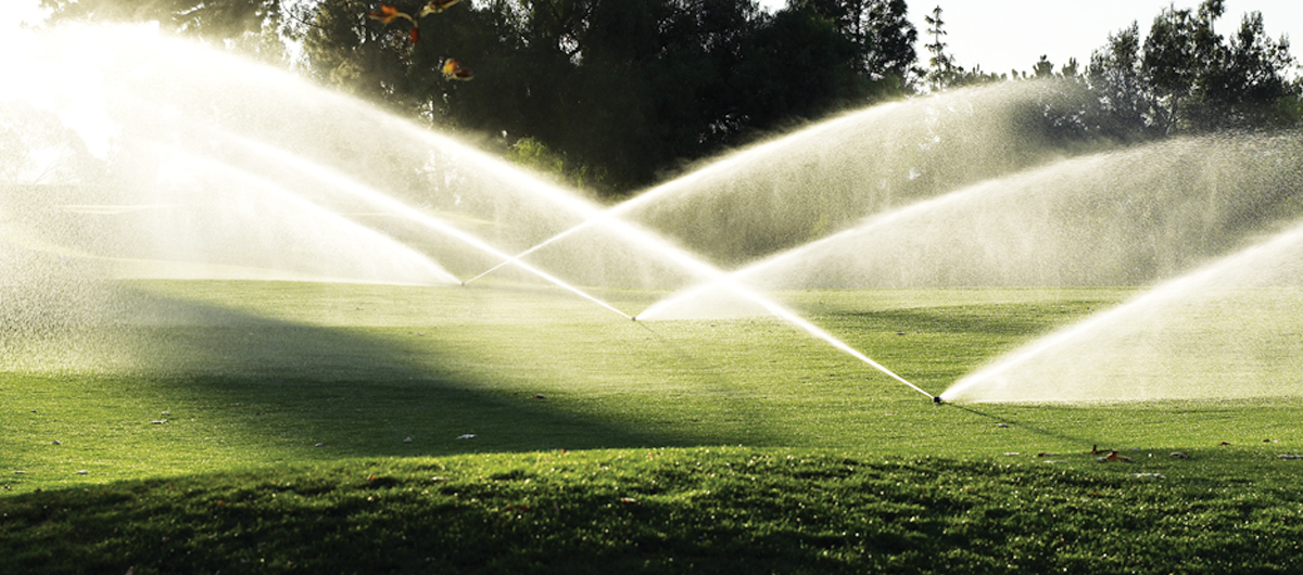KAURI-Commercial-Irrigation-P4